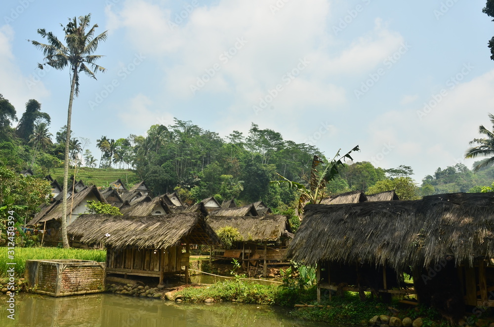village ponds between residents' houses in Tasikmalaya, West Java, Indonesia