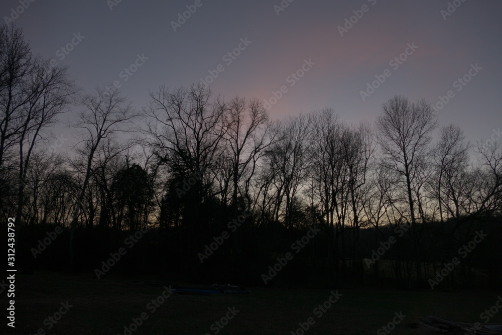December evening sky, tree line December evening sky, tree line