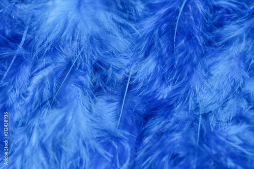 Texture of blue feathers, closeup
