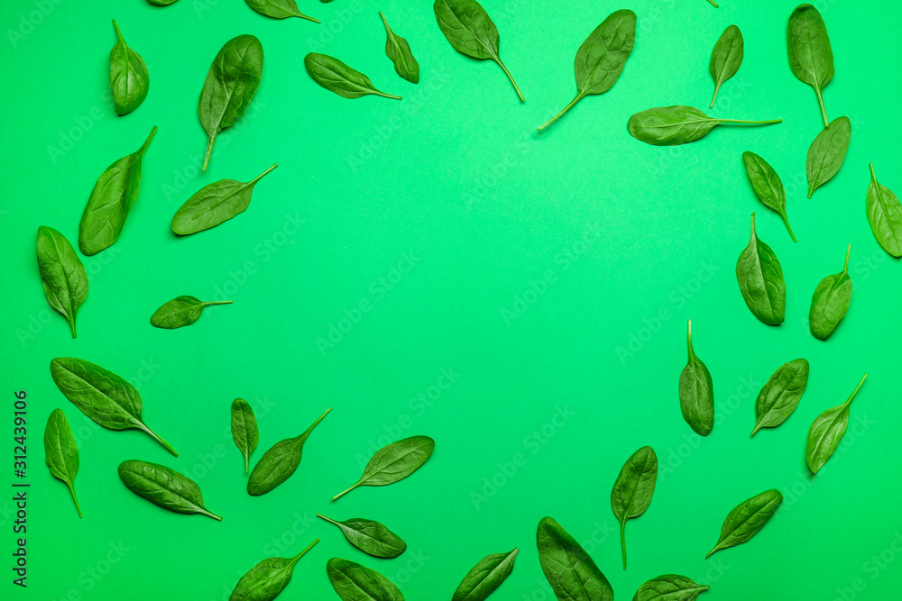 Frame made of fresh spinach on color background Frame made of fresh spinach on color background