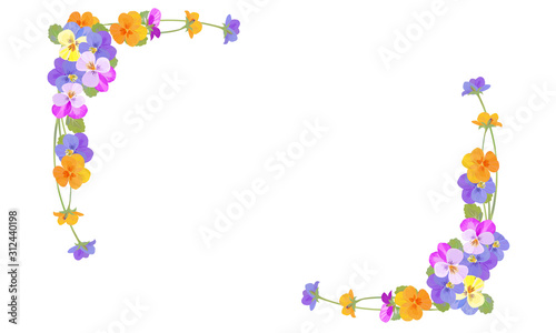 Frame of beautiful spring flower Pansy 