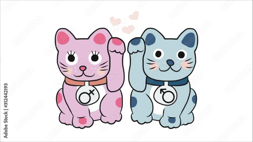 Couple lucky cat Pink and Blue color cartoon Couple lucky cat Pink and Blue color cartoon