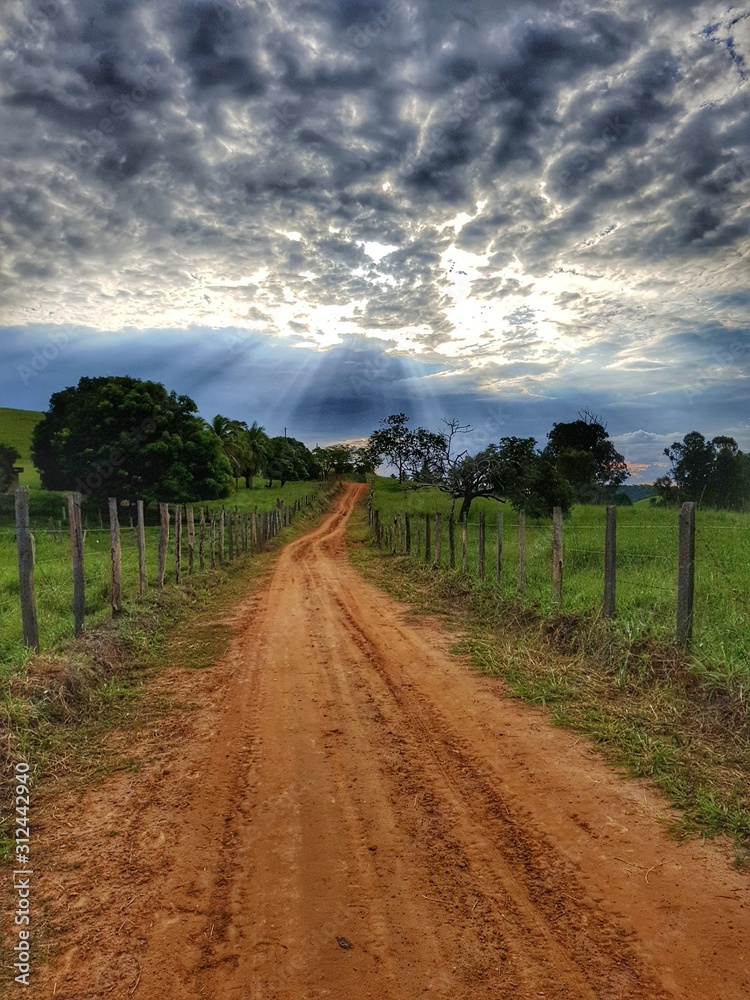 Fototapeta premium road in the countryside