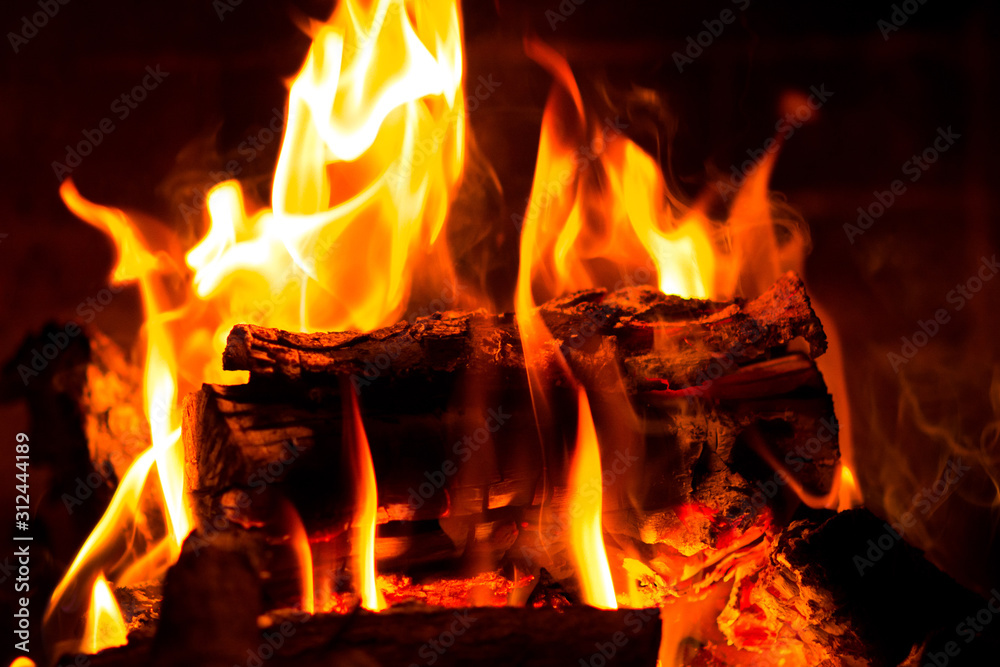 Fototapeta premium Hot Log