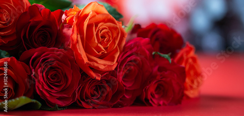 Red roses with a red background, congratulations on Valentine's Day, happy birthday, or happy love day. Romance, Banner