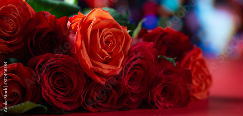 Red roses with a red background, congratulations on Valentine's Day, happy birthday, or happy love day. Romance, Banner