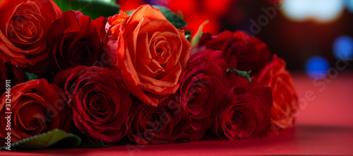 Red roses with a red background  congratulations on Valentine s Day  happy birthday  or happy love day. Romance  Banner