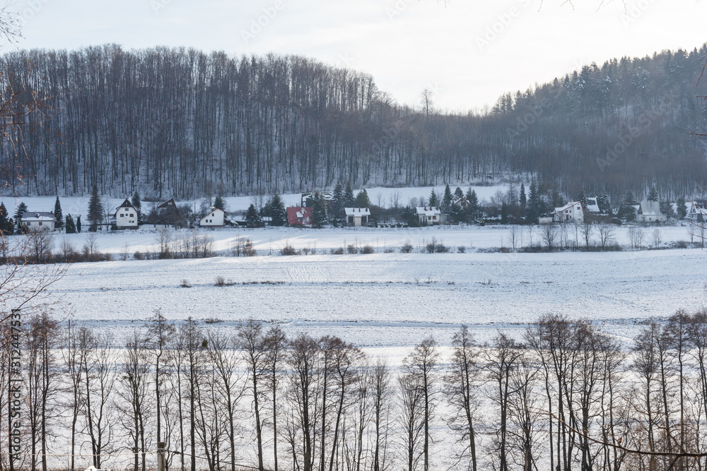 Polish countryside in Winter