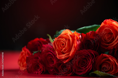 Red roses on a red background  Love and romance. Holiday