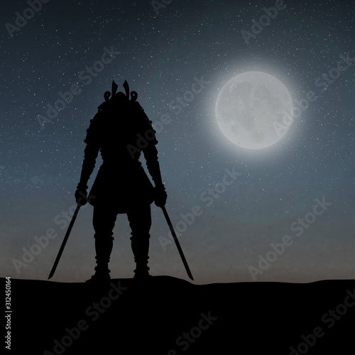 A Samurai Under The Moonlight