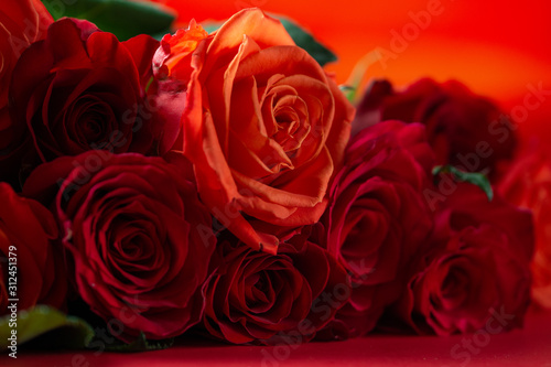 Red roses close up  love and romantic gift. Holiday