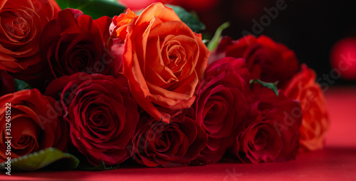 Red roses with a red background  congratulations on Valentine s Day  happy birthday  or happy love day. Romance  Banner