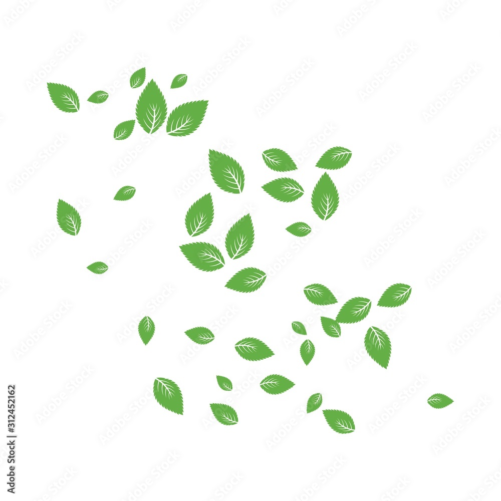 Mint leaf Background