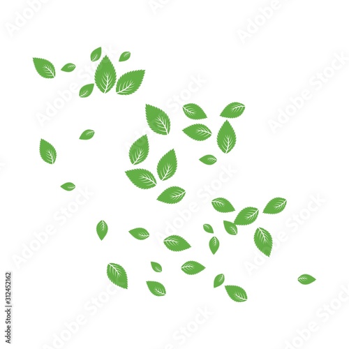 Mint leaf Background