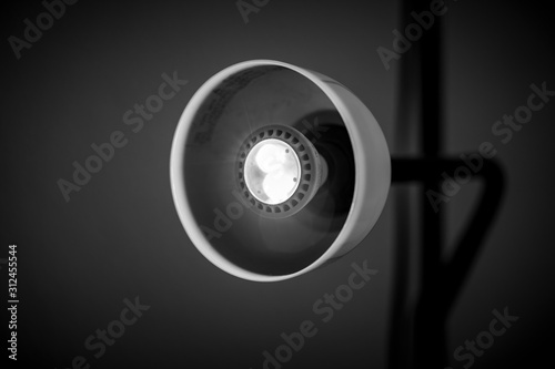 Lamp in Macro Black and White