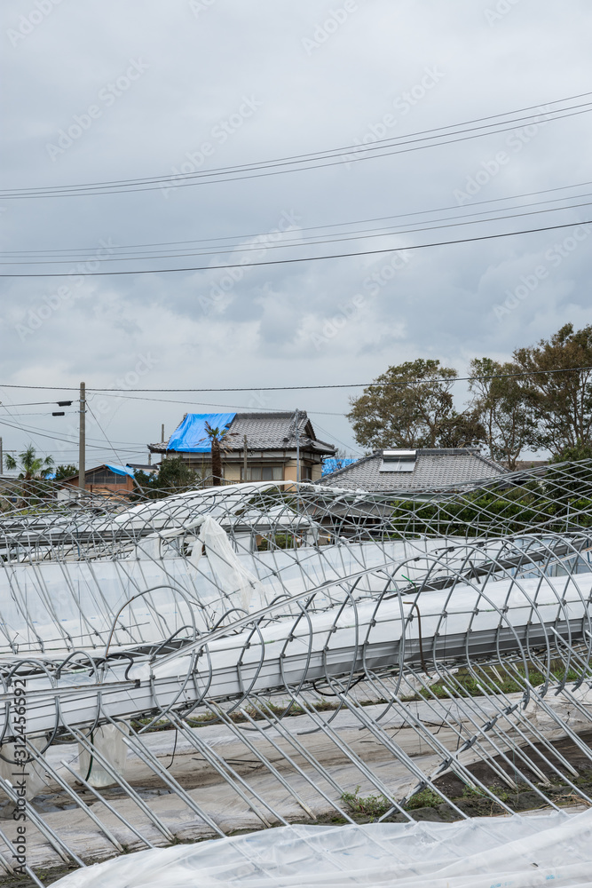 Fototapeta premium 台風被害、ビニールハウス倒壊