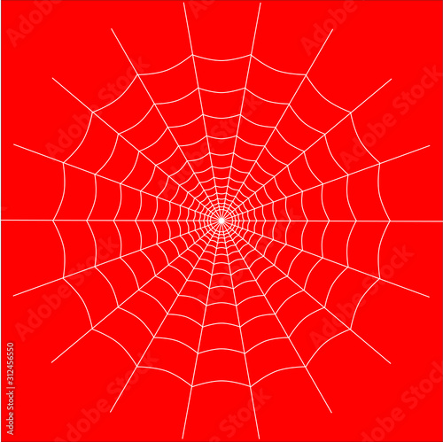spider on web