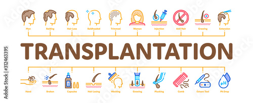 Hair Transplantation Minimal Infographic Web Banner Vector. Balding And Baldness Man Head, Shampoo And Medicine In Bottle Transplantation Color Concept Illustrations