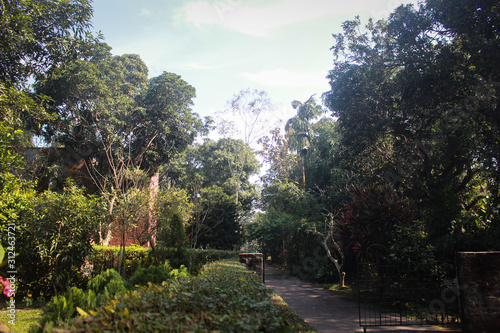 Garden side view in Bangladesh