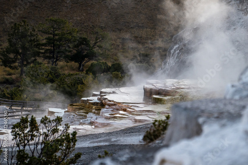 The landscape nature around Mammoth hot springs in Yellowstone national park in Wyoming , United States of America