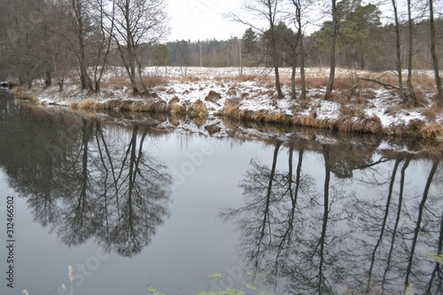 frozen lake in winter