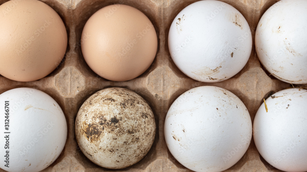 Fresh chicken eggs in industrial mud as a background Fresh chicken eggs in industrial mud as a background
