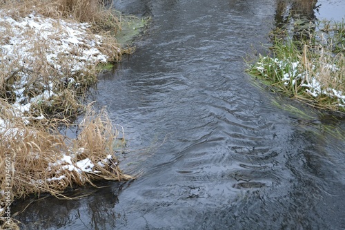 river in the forest