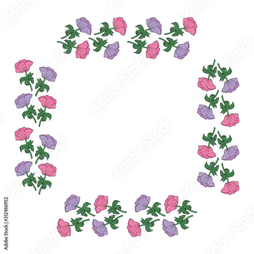 Square frame made of violet and pink anemones. Flowers on white background for your design