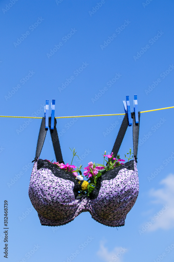 Funny photo of recycled old bra/brassier pegged on a washing line with  plants growing in the cups against a blue sky Stock Photo