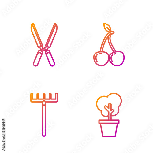 Set line Tree in pot, Garden rake, Gardening handmade scissors for trimming and Cherry. Gradient color icons. Vector