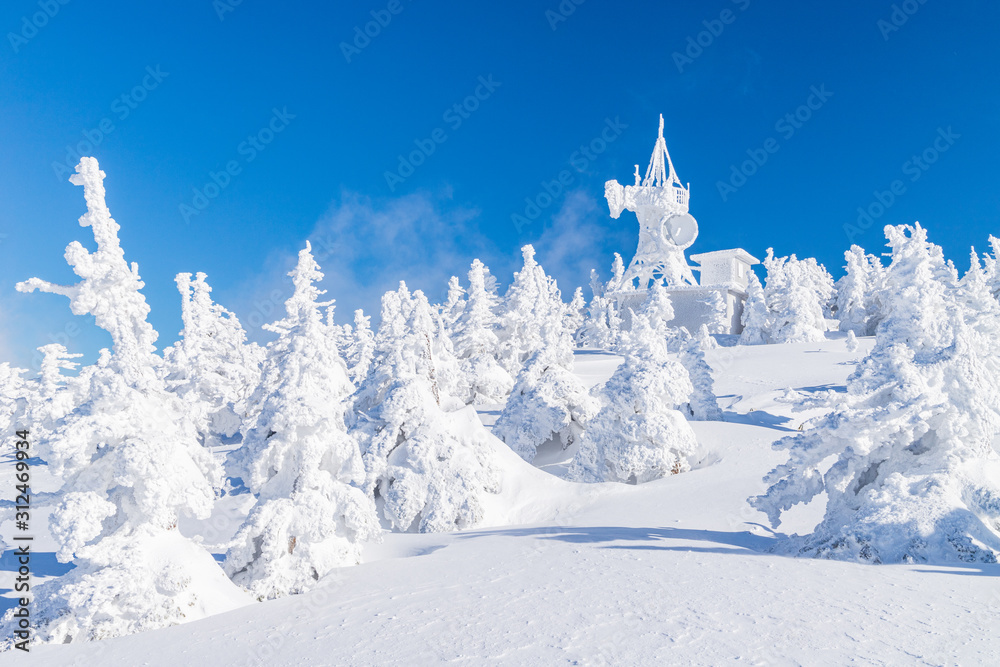 custom made wallpaper toronto digitalTowada Hachimantai National Park in winter
