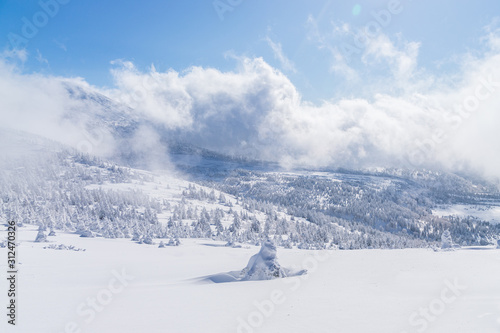 Towada Hachimantai National Park in winter photo