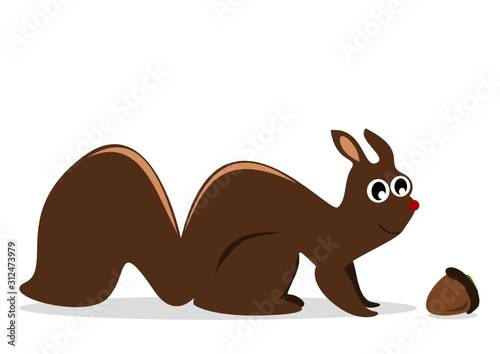 Eichhörnchen