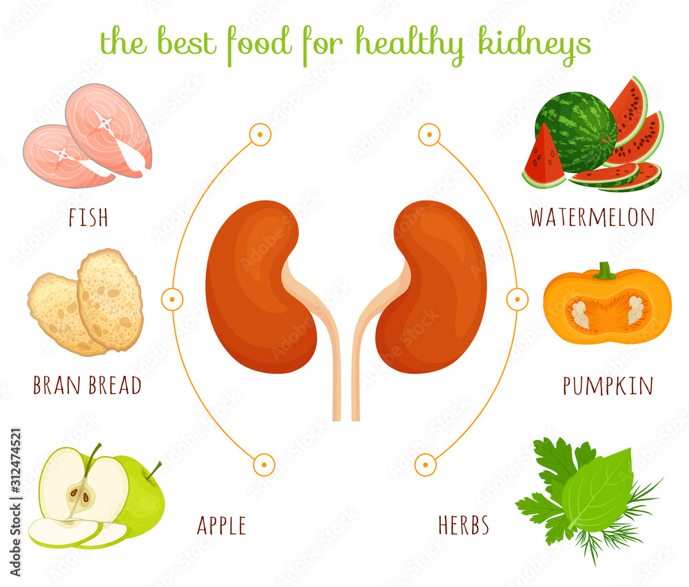 the-best-food-for-healthy-kidneys-information-banner-on-the-topic-of