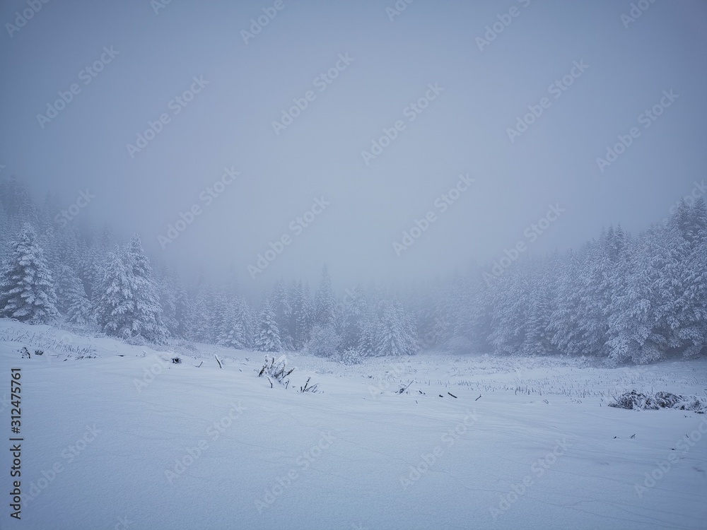 winter mountain landscape with snowy trees and snow winter mountain landscape with snowy trees and snow