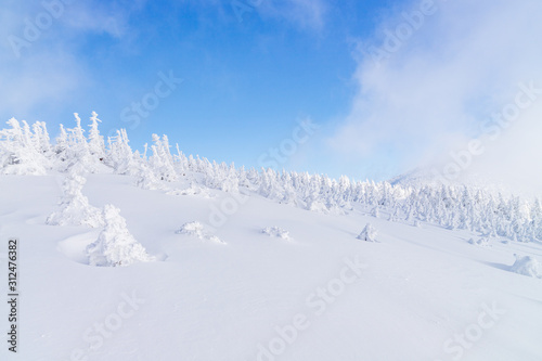 Towada Hachimantai National Park in winter