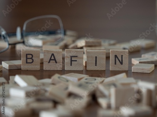 the acronym bafin for Federal Financial Supervisory Authority concept represented by wooden letter tiles photo