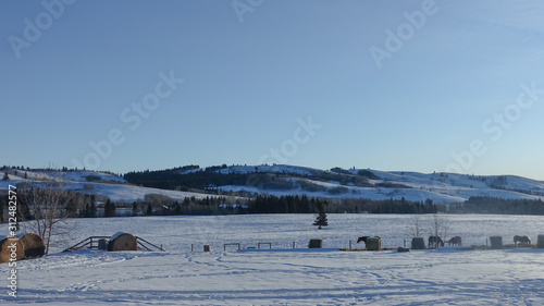 Winter landscapes of a snow-covered ranch in Cochrane, Alberta Canada © Isobel Hsu