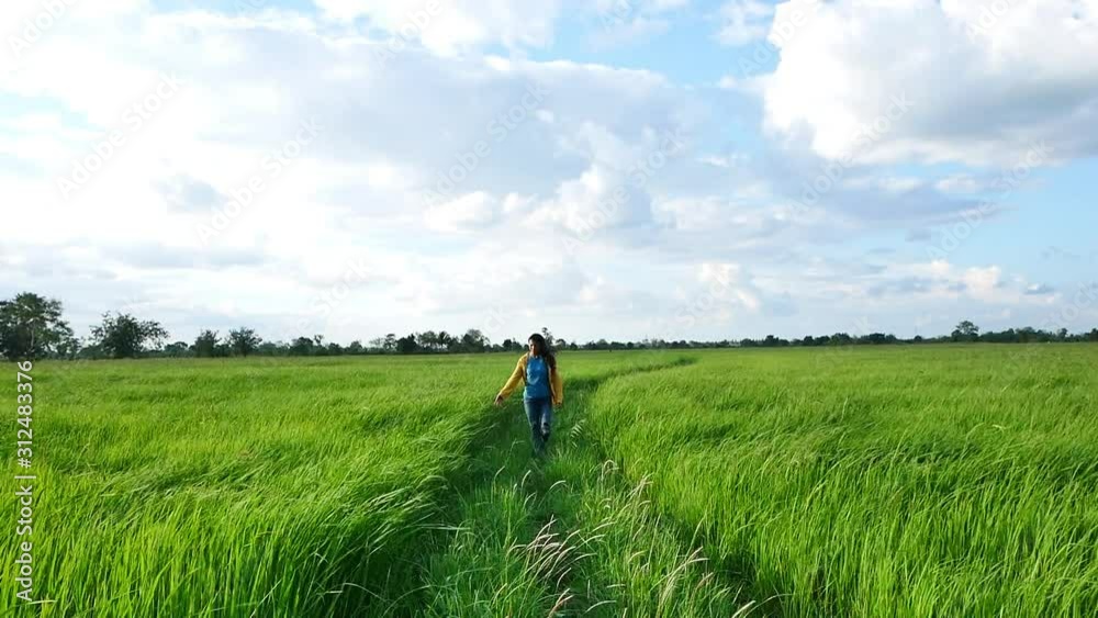 Women in a long sleeved yellow shirt jeans, Walk in the windy rice fields, beautiful green rice plants in the morning. Women in a long sleeved yellow shirt jeans, Walk in the windy rice fields, beautiful green rice plants in the morning.