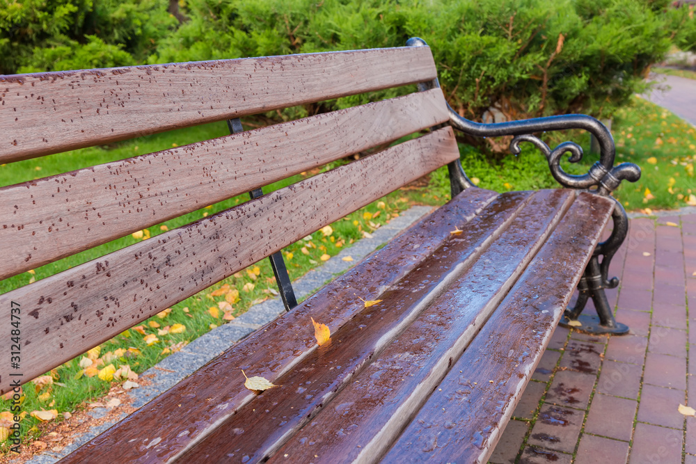 Garden bench covered with frozen water drops in autumn park