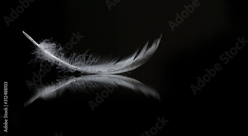 An extreme close-up and macro photograph of a detail of a soft white feather, black background.