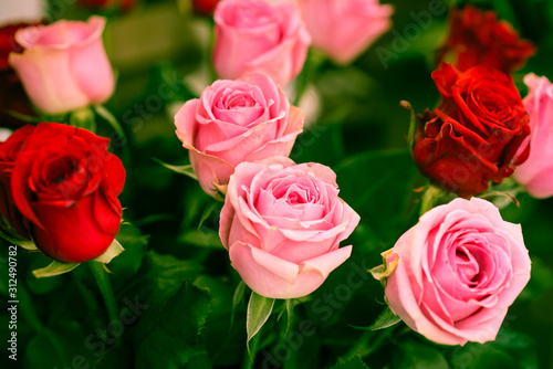Bouquet of beautiful pink and dark red roses - wedding invitation, happy anniversary or birthday card - colorful soft filter closeup