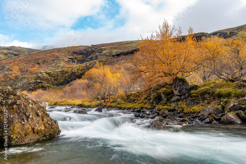 Small waterfall and yellow autumn leaves, Iceland