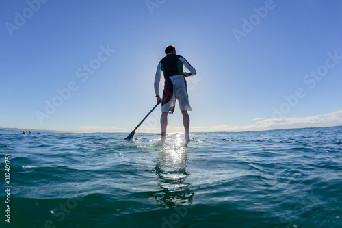 Surfer Stand Up Paddle Surfing Surfboard Silhouetted Rear Water Photo Ocean Blue Sky Landscape