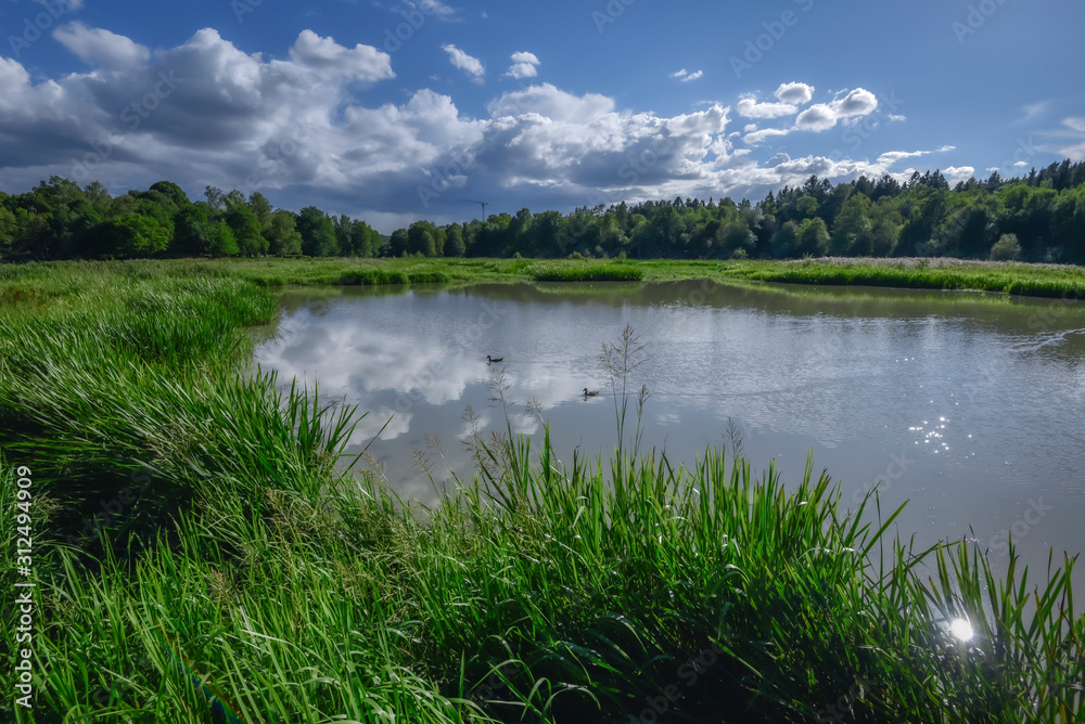 Φωτογραφία The lake Isabladskarret in Djurgarden island of Stockholm City in Sweden, as seen from the bird watching point