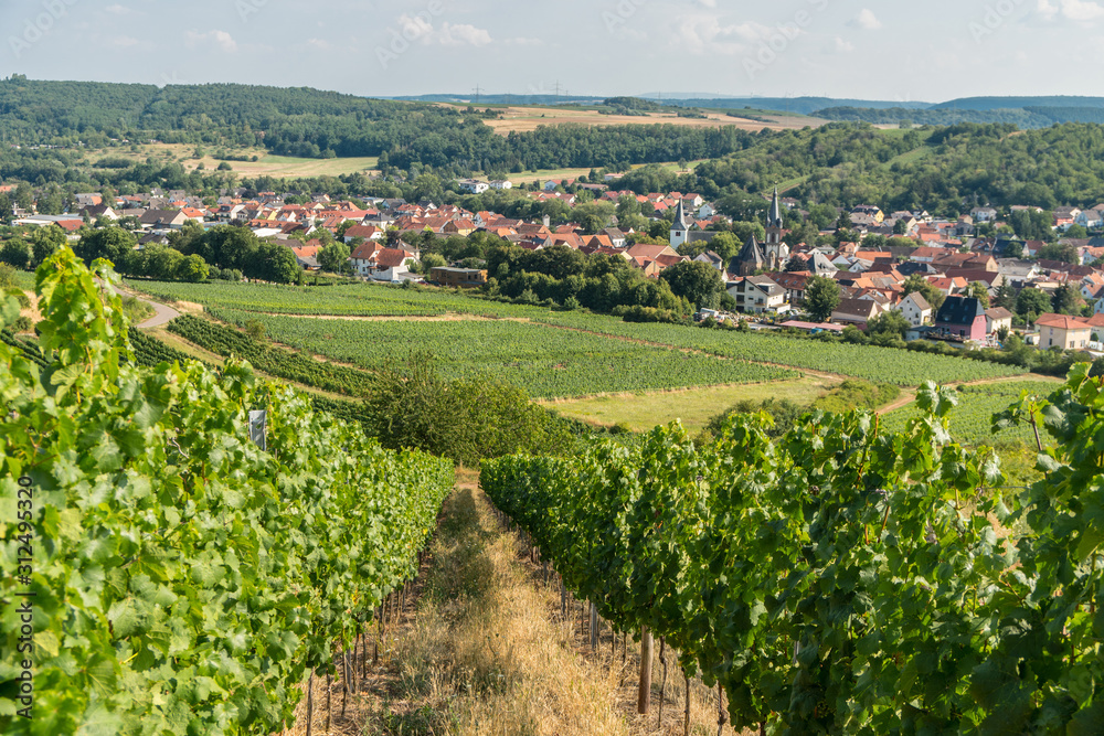 Germany Guldental vineyards