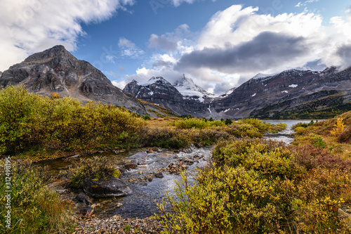 Mount Assiniboine with stream flowing in golden wilderness at provincial park