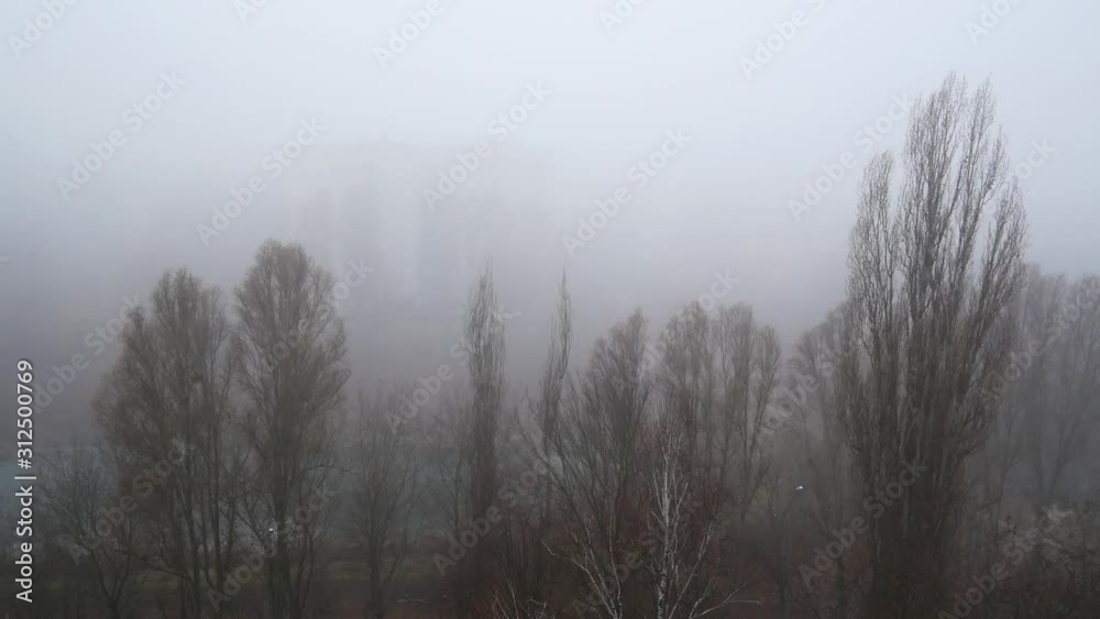 Fog in the city in the fall. Tops of bare trees in the fog. In the background are multi-storey buildings Fog in the city in the fall. Tops of bare trees in the fog. In the background are multi-storey buildings