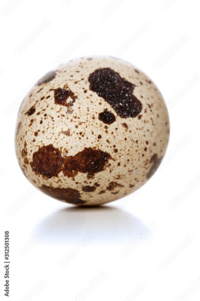 Obraz premium Quail eggs