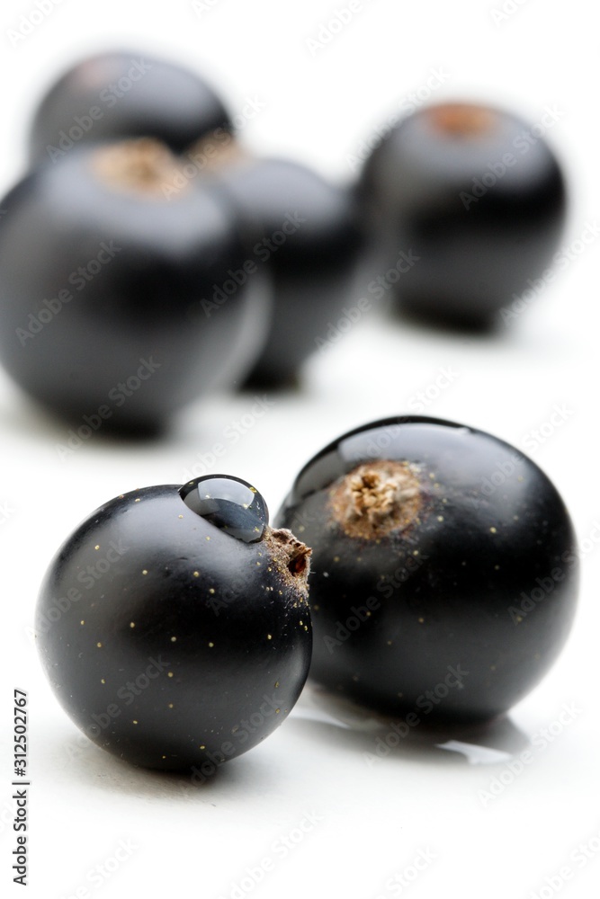 Black currants - close up Black currants - close up